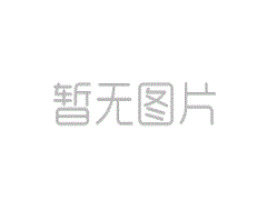 譯博集團(tuán)助力2025RCEP地方政府暨友城合作（黃山）論壇開(kāi)幕式圓滿(mǎn)完成