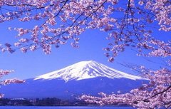 日本翻譯導(dǎo)游水平低，中文不過(guò)關(guān)